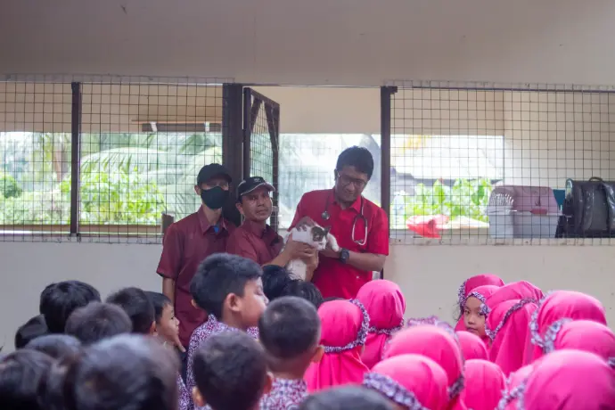 Melihat kucing Bersama Teman-teman